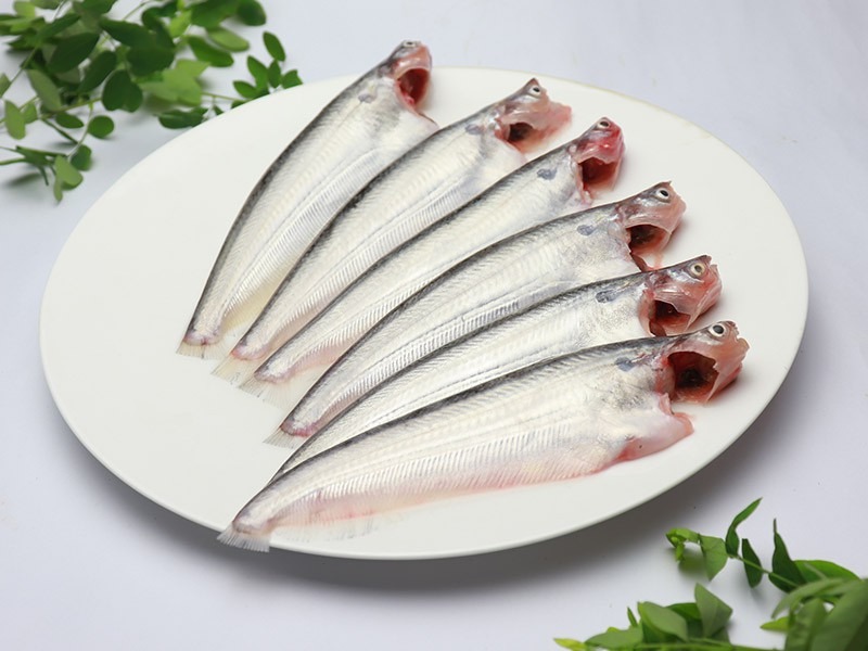 Fresh Pavo / Pabda Fish - Quality Non-Veg Mart Guwahati